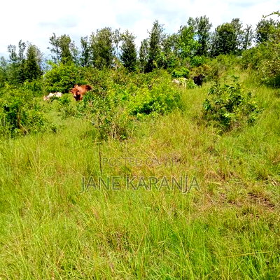 4acres Quick Sale Ngatho Muranga County Gatanga - Image 6