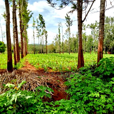 4acres Quick Sale Ngatho Muranga County Gatanga - Image 2