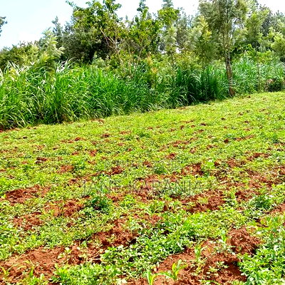 4acres Quick Sale Ngatho Muranga County Gatanga - Image 5