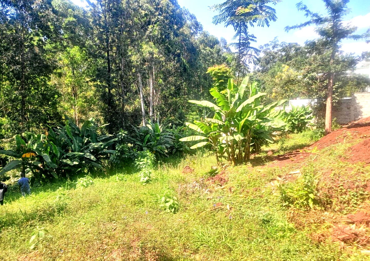 5-Acre Kitisuru Gem at KSh 70M