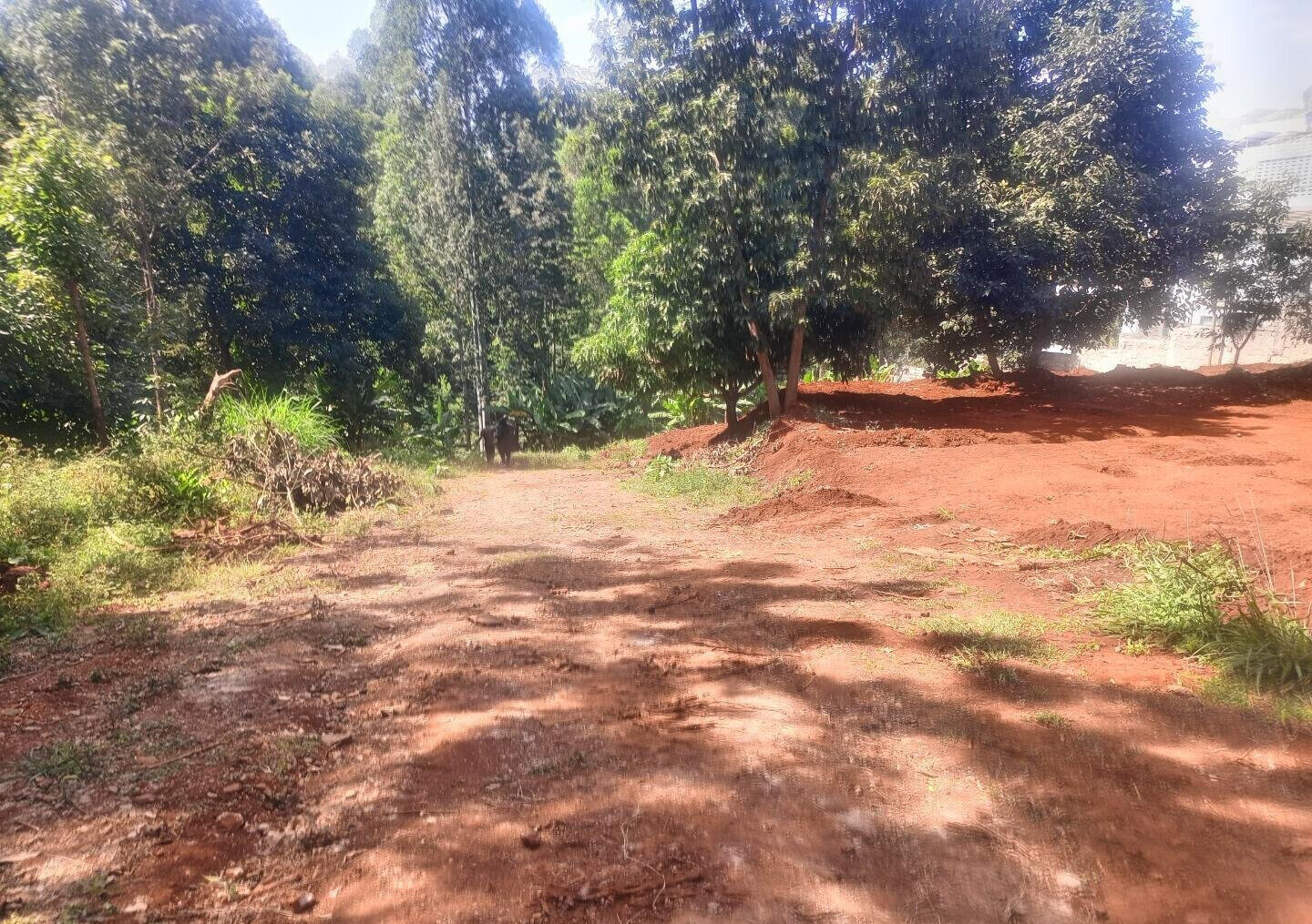 5-Acre Kitisuru Gem at KSh 70M