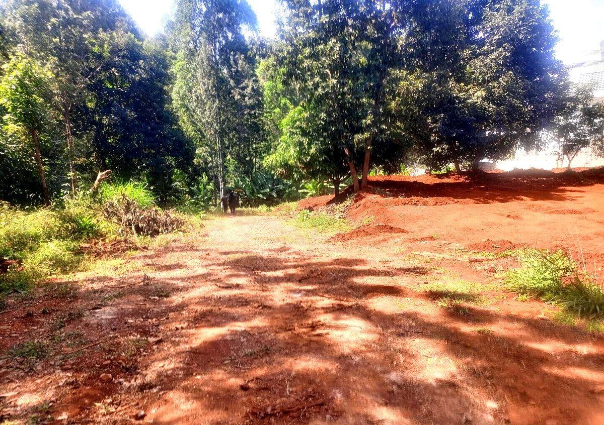5-Acre Kitisuru Gem at KSh 70M
