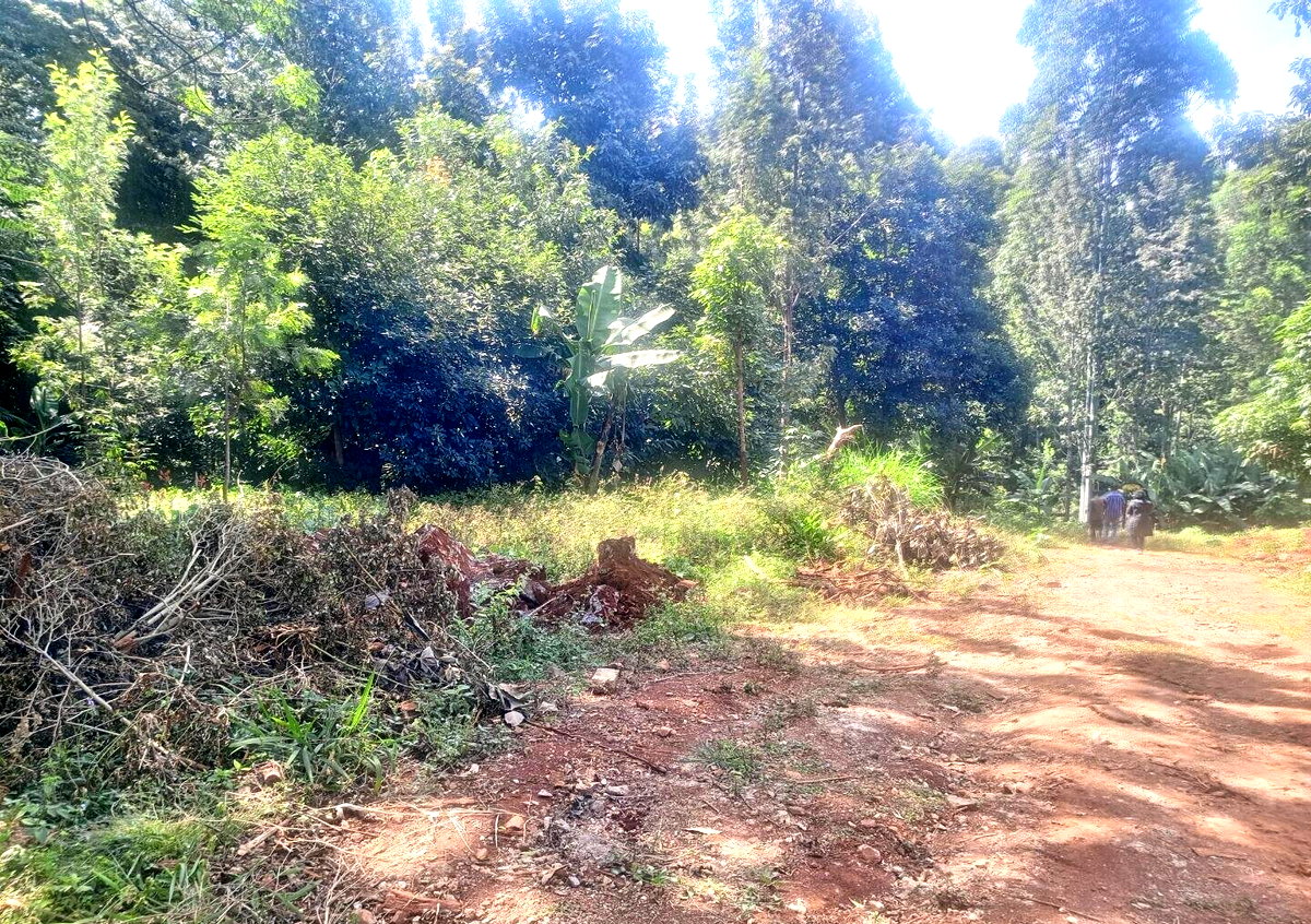 5-Acre Kitisuru Gem at KSh 70M