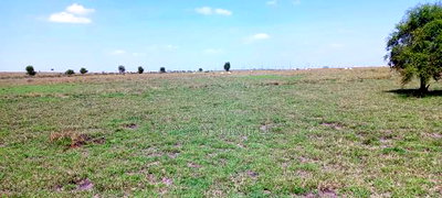 Vacant Plots for Sale - Isinya - Image 3