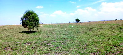 Vacant Plots for Sale - Isinya - Image 4