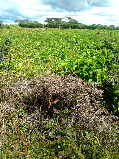 Plots in Thika-Matuu Only 1 Km From Tarmac - Image 1