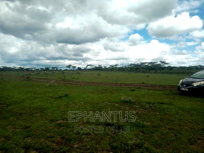 Plots in Thika-Matuu Only 1 Km From Tarmac - Image 2