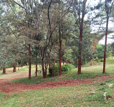 Half Acre in Pangani for KSh 90M