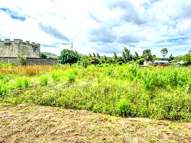 Prime Residential Plot for Sale in Kikuyu,Thigio