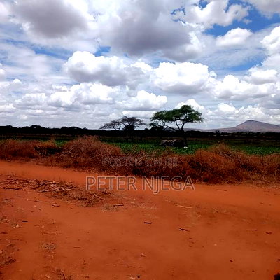 42 Acres Block Eselenkei Mashuru Kajiado for Sale - Image 3