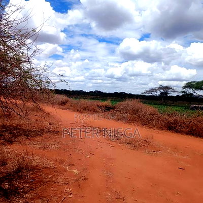 42 Acres Block Eselenkei Mashuru Kajiado for Sale - Image 4