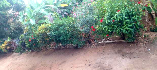 1bdrm House in Ukunda Darad for rent