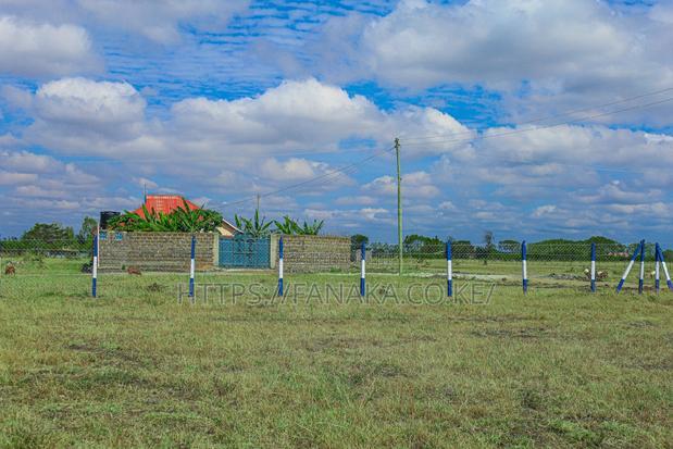 Strategic Plots in Jujafarm