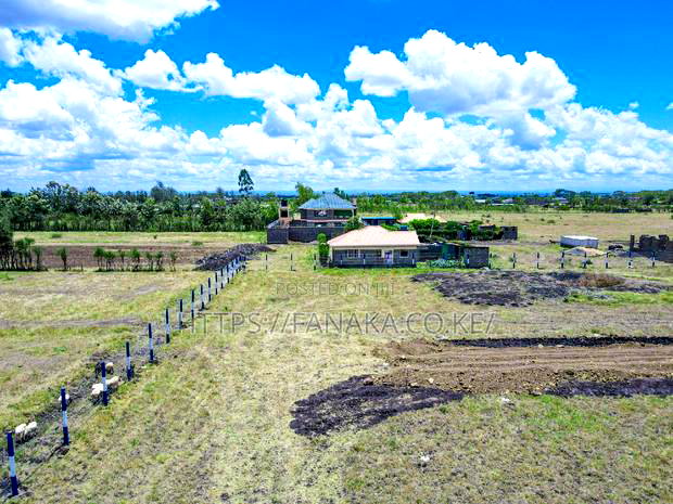 Strategic Plots in Jujafarm