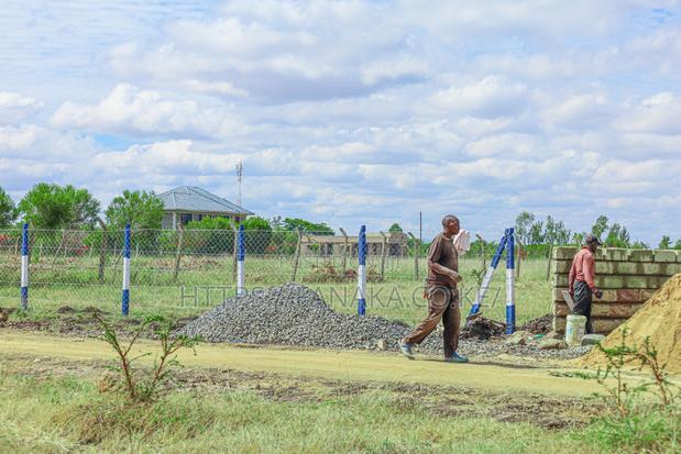 Strategic Plots in Jujafarm