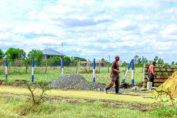 Strategic Plots in Jujafarm