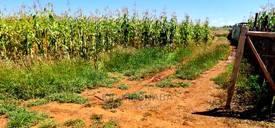 1 Acre Land Touching Highway Marura Kimumu in Eldoret - Image 10