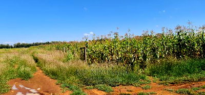 1 Acre Land Touching Highway Marura Kimumu in Eldoret - Image 8