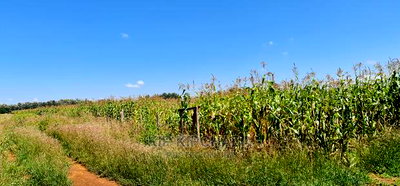 1 Acre Land Touching Highway Marura Kimumu in Eldoret - Image 3