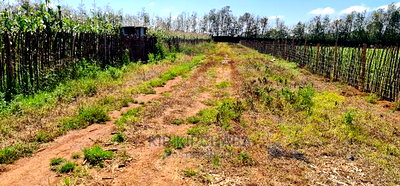 1 Acre Land Touching Highway Marura Kimumu in Eldoret - Image 9