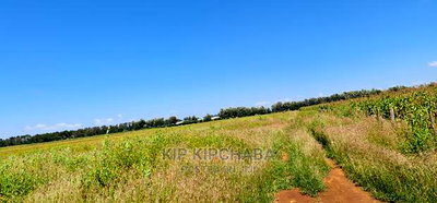 1 Acre Land Touching Highway Marura Kimumu in Eldoret - Image 7