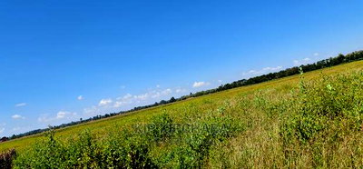 1 Acre Land Touching Highway Marura Kimumu in Eldoret - Image 5