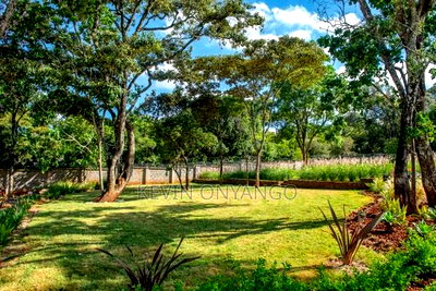 4bdrm Villa in Karen for sale - Image 15