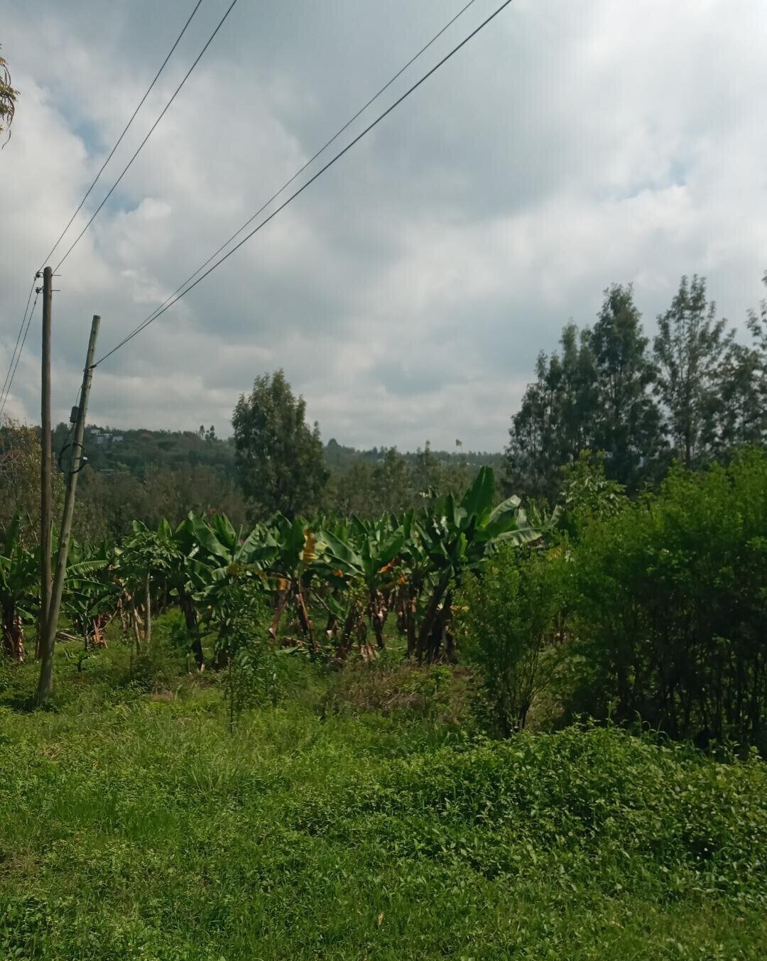 2-Acre Plot in Matasia, Ngong
