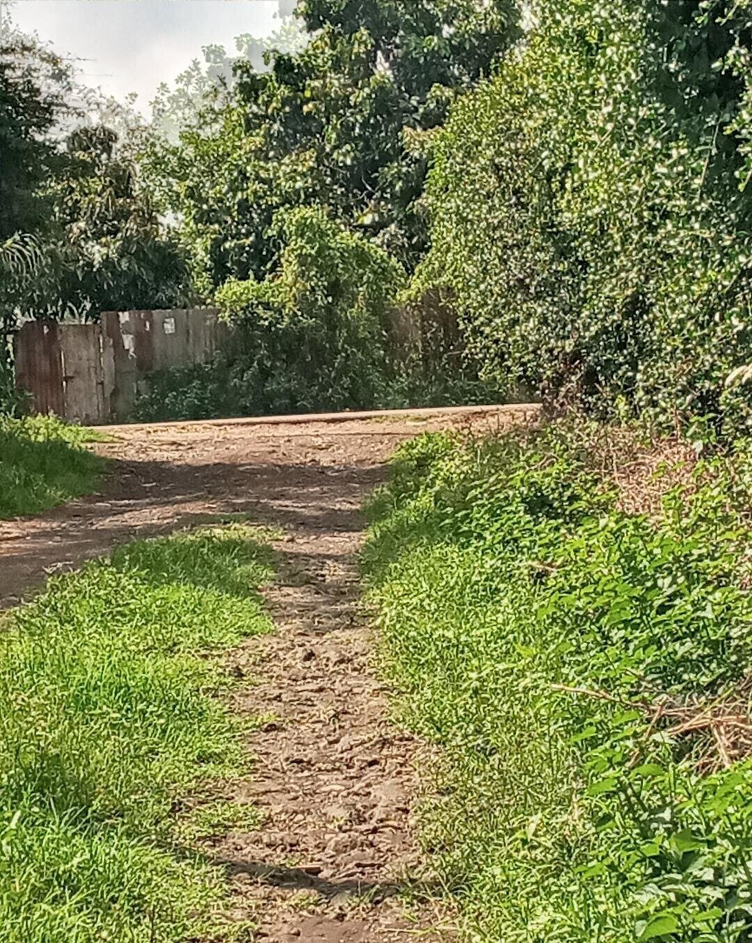 2-Acre Plot in Matasia, Ngong