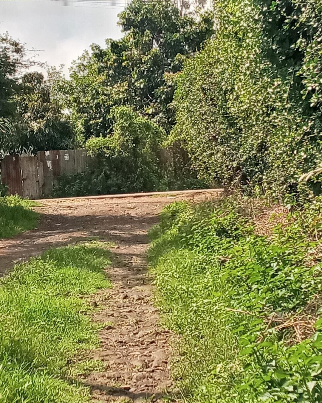 2-Acre Plot in Matasia, Ngong