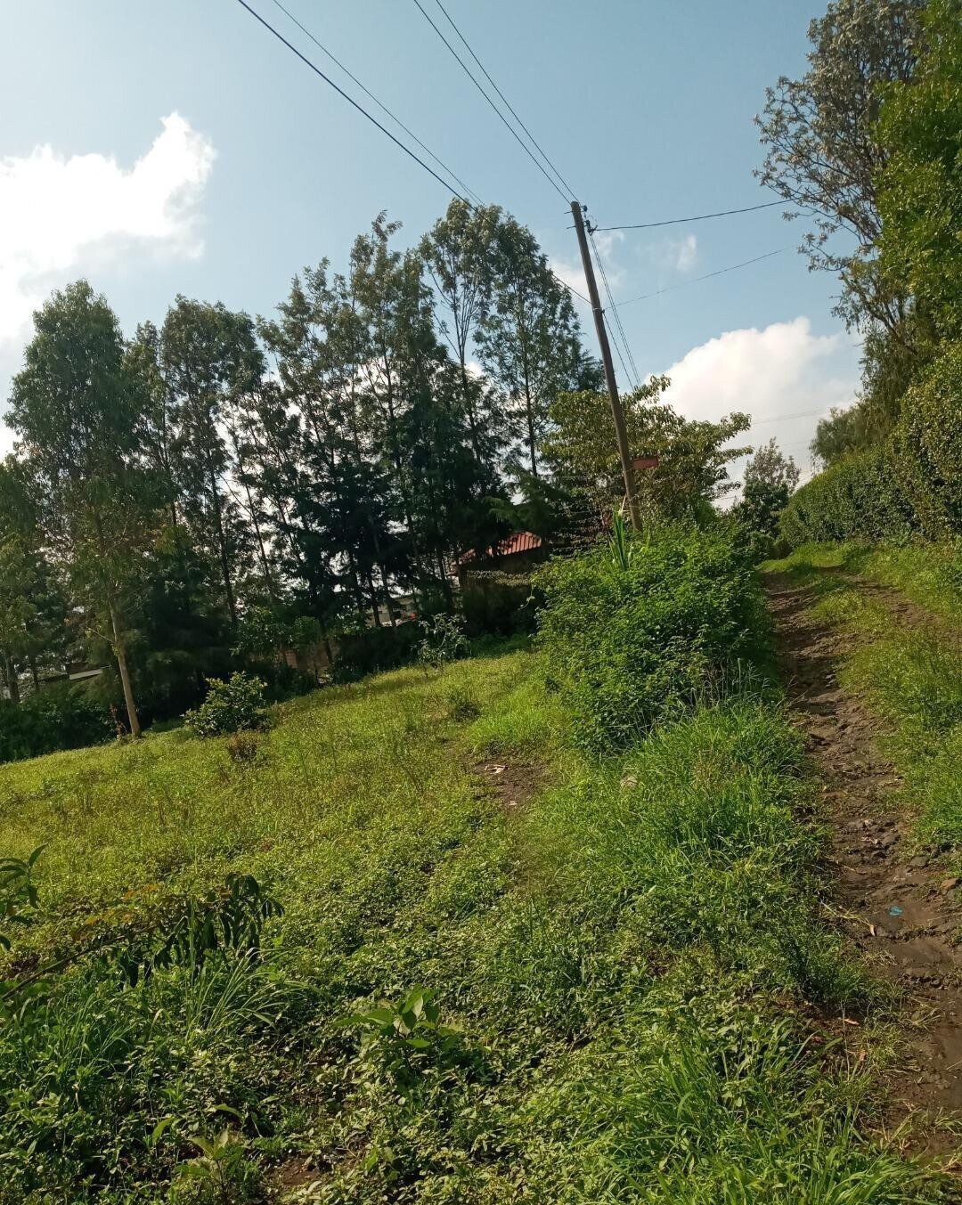 2-Acre Plot in Matasia, Ngong