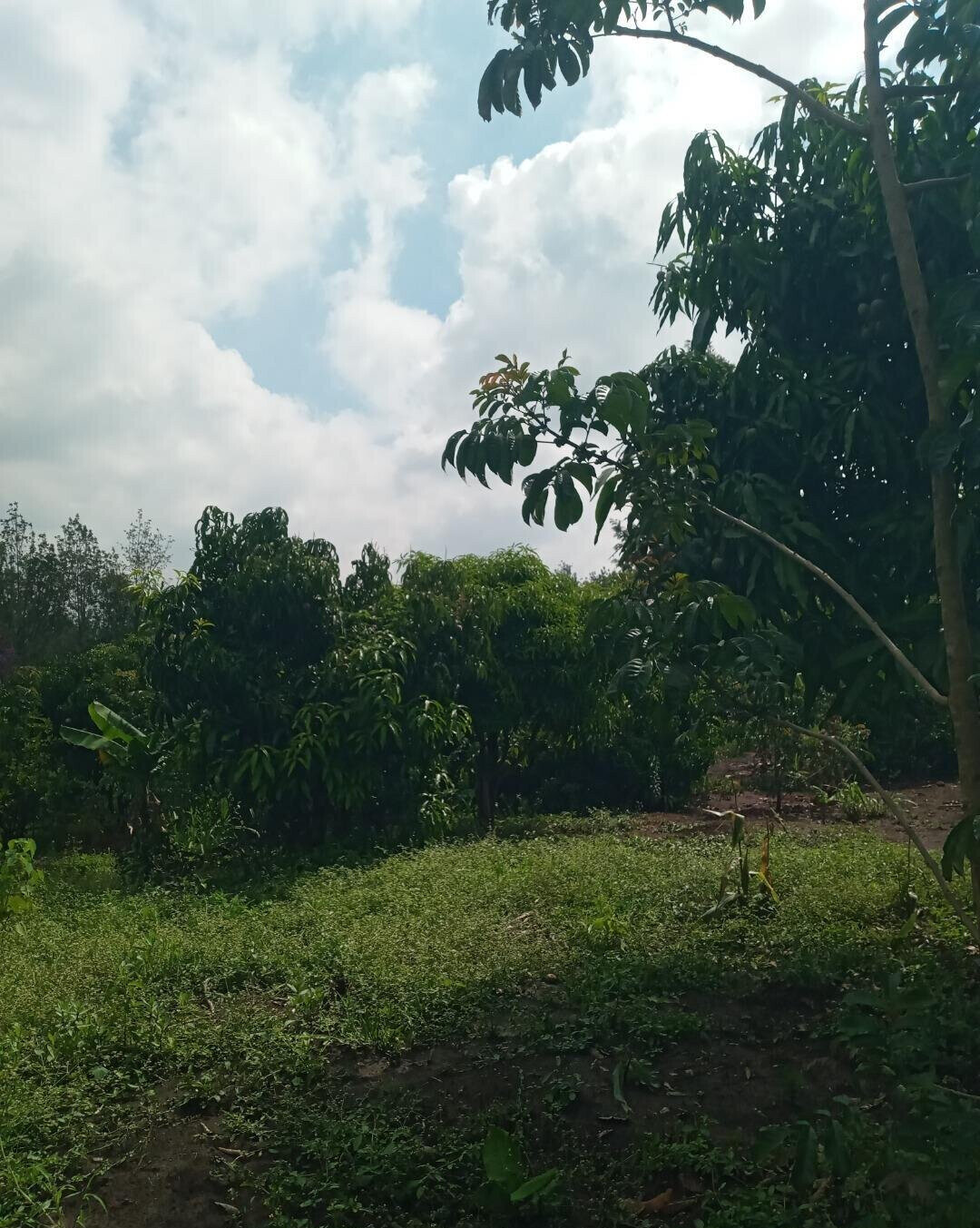 2-Acre Plot in Matasia, Ngong