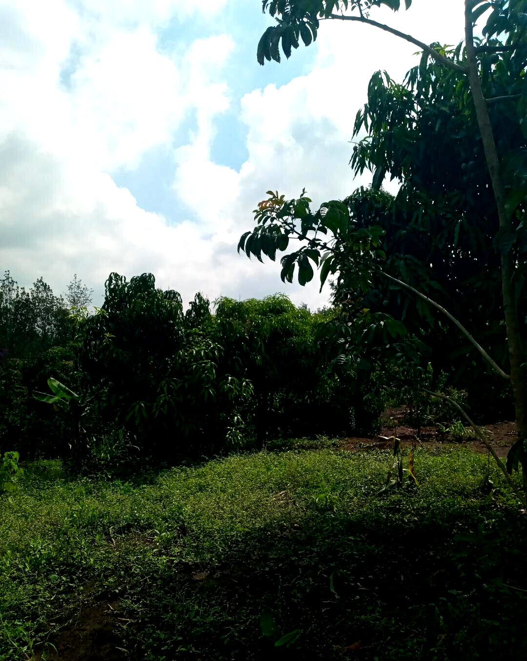 2-Acre Plot in Matasia, Ngong