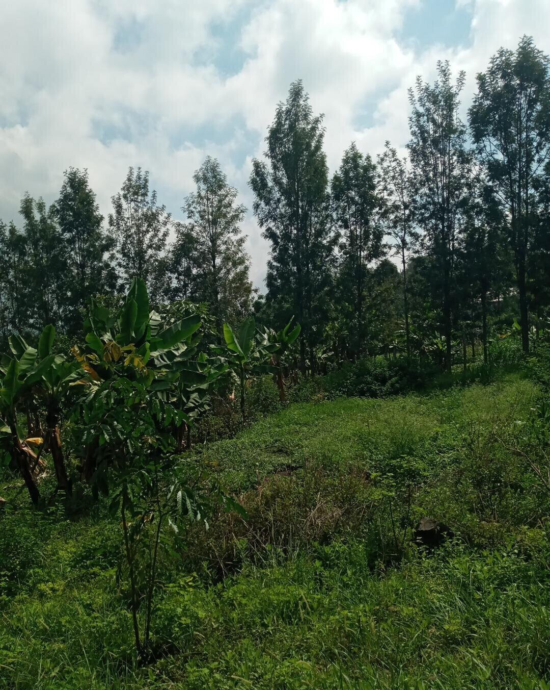 2-Acre Plot in Matasia, Ngong