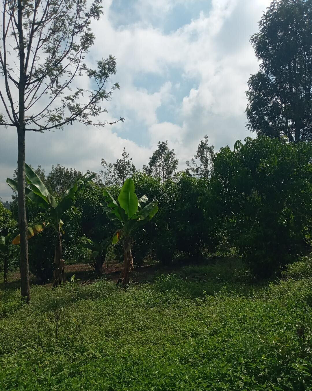 2-Acre Plot in Matasia, Ngong