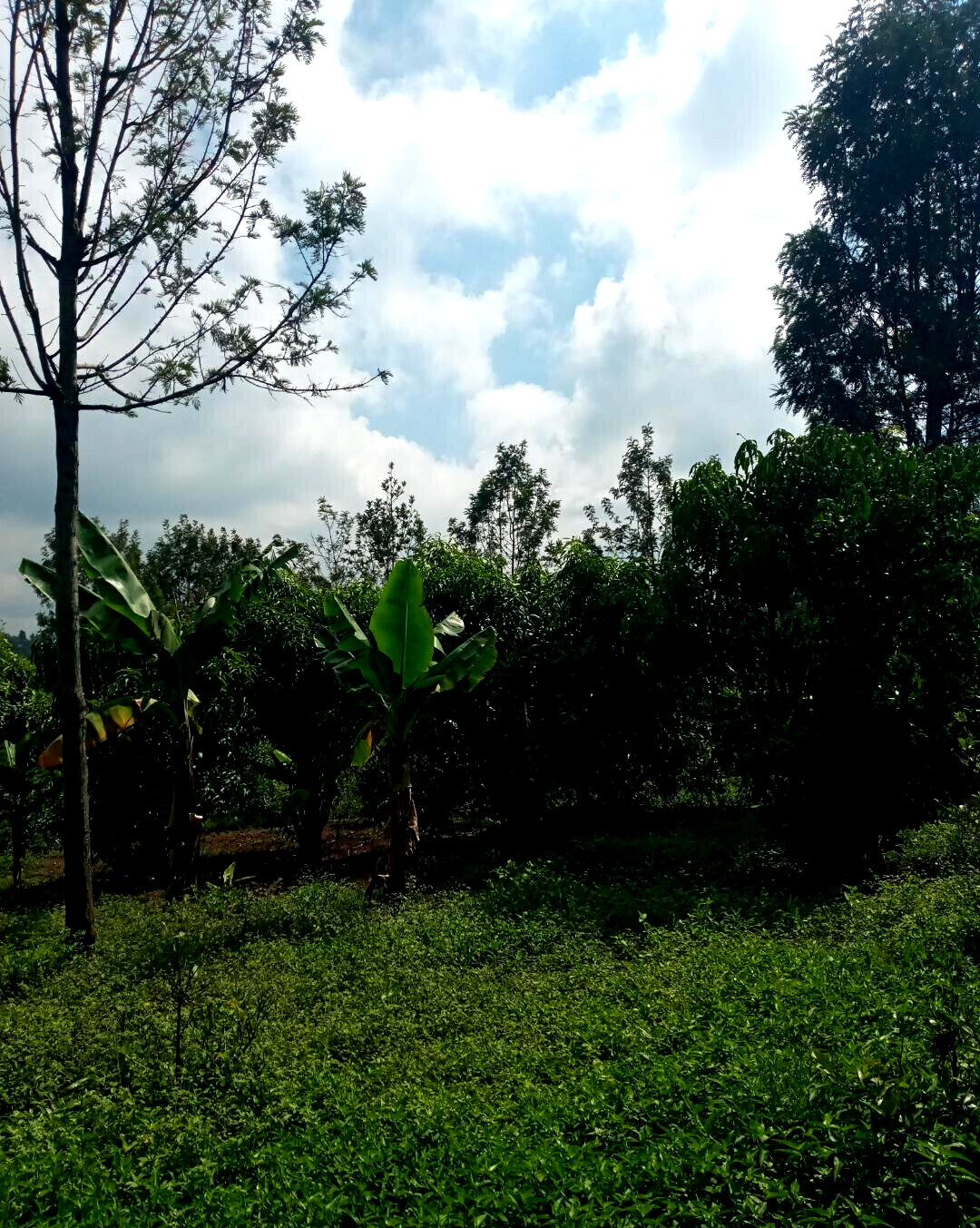 2-Acre Plot in Matasia, Ngong