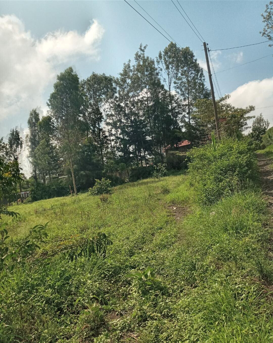 2-Acre Plot in Matasia, Ngong