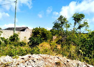 Quarter Acre Garden Plot