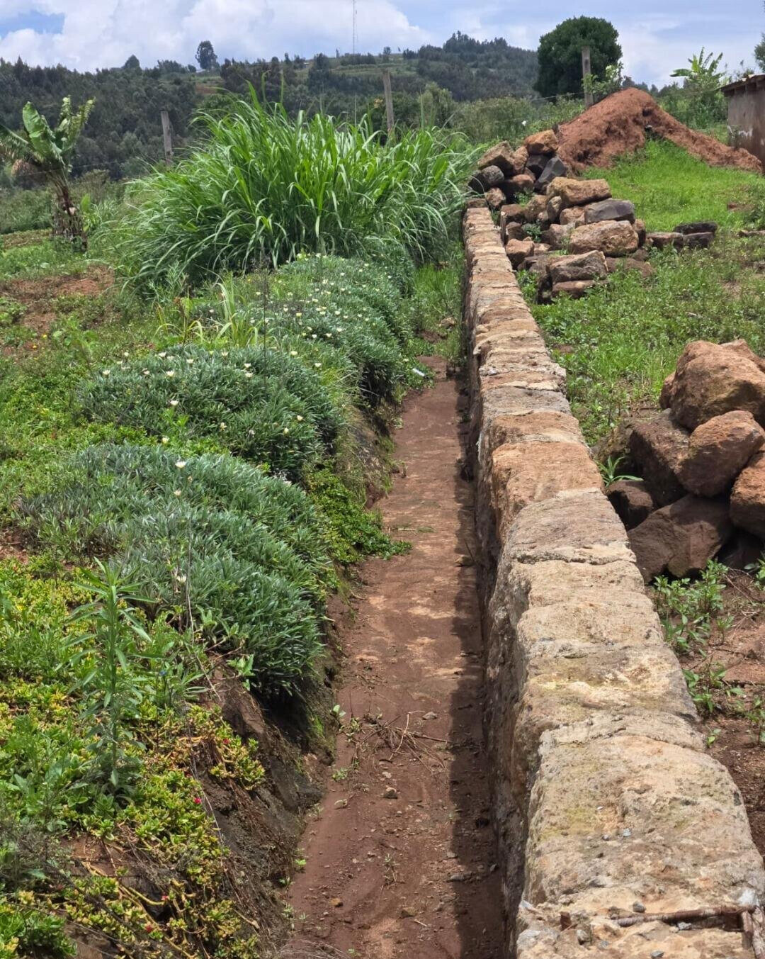 KSh 1.7M Prime Land Deal