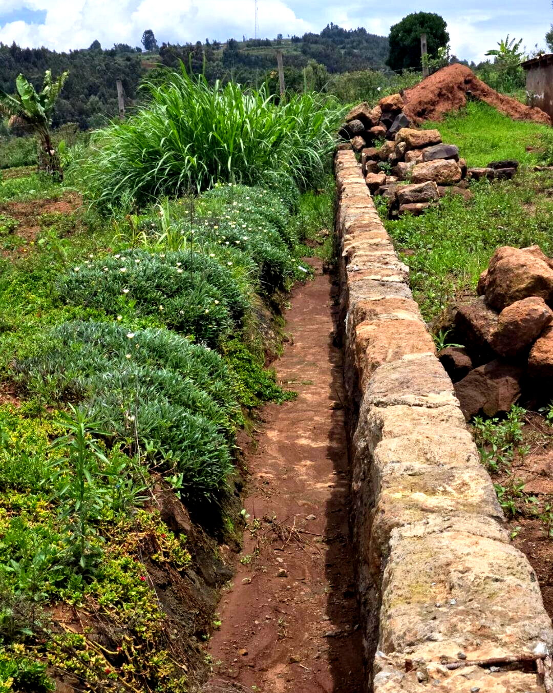 KSh 1.7M Prime Land Deal