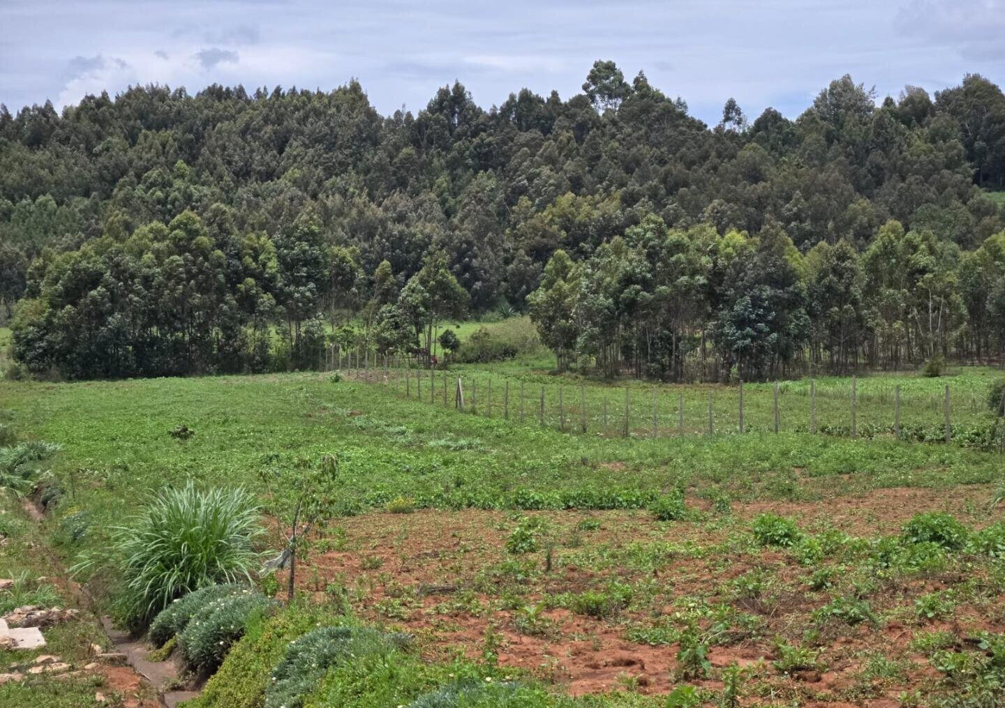 KSh 1.7M Prime Land Deal