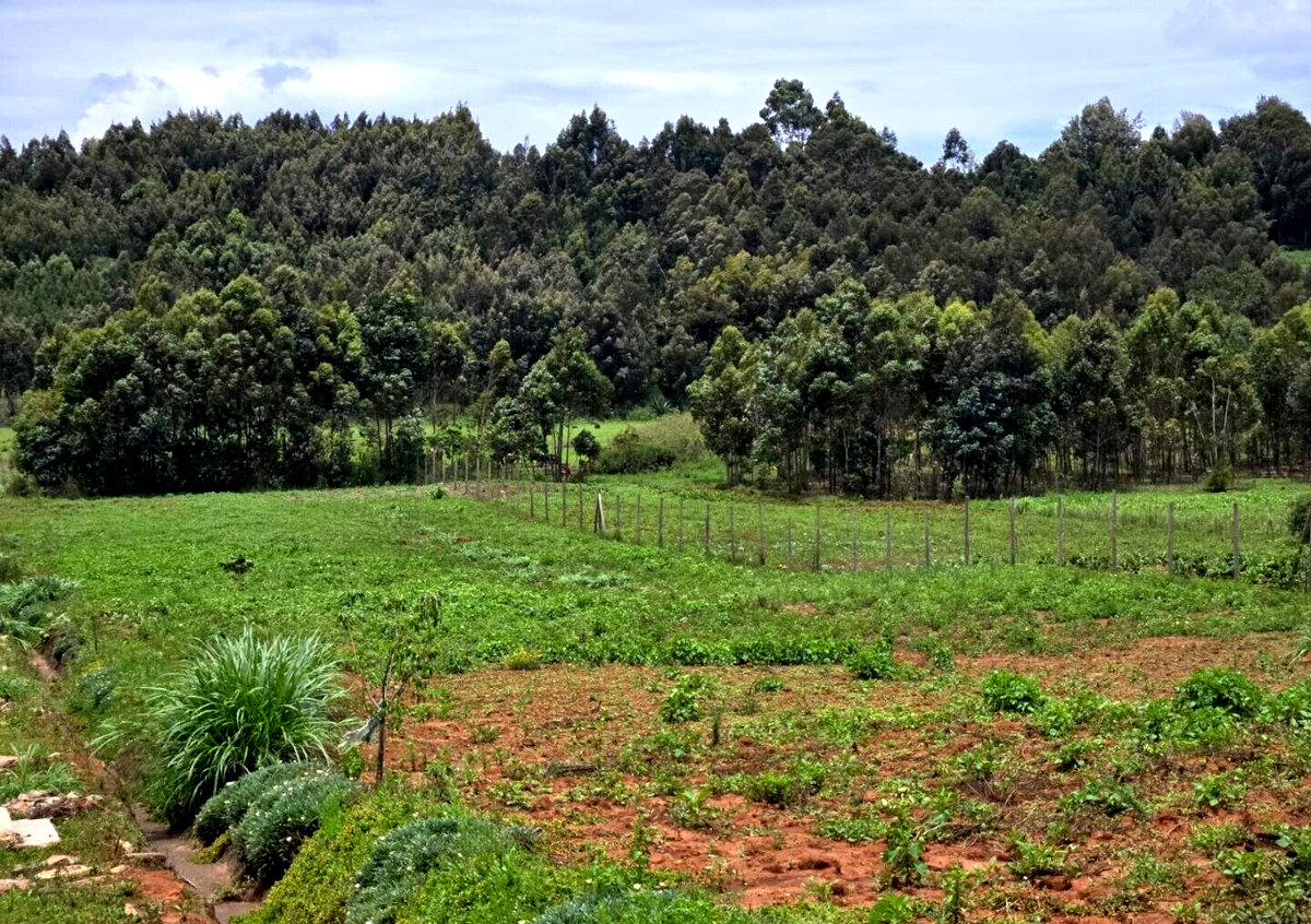 KSh 1.7M Prime Land Deal
