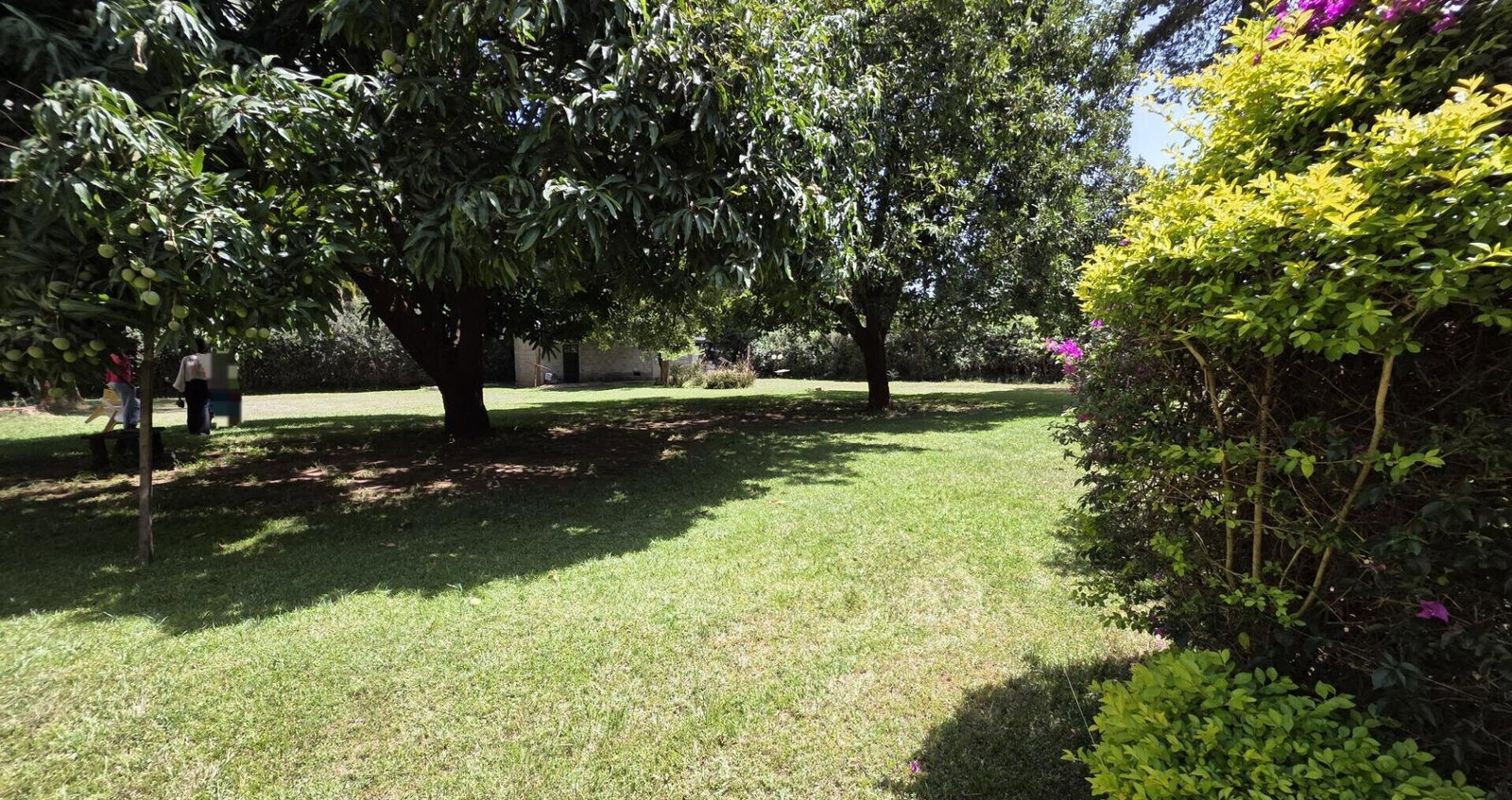 3/4 Acre Lavington Land Deal