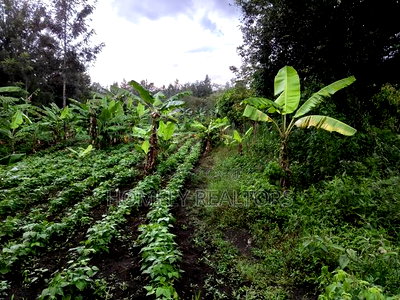 2 Acres of Land Touching Tarmac on Sale in Ngong, Matasia - Image 3