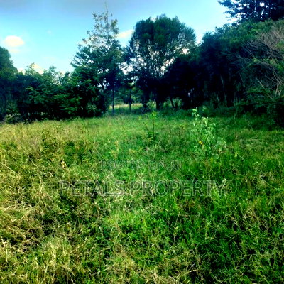 50*100 Plots for Sale in Kandisi Ongata Rongai - Image 2