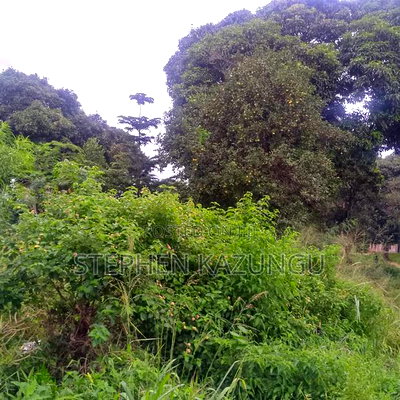 1/2 Acre/0.18 Hectare Plot on Sale at Kidzangoni Ukunda. - Image 15