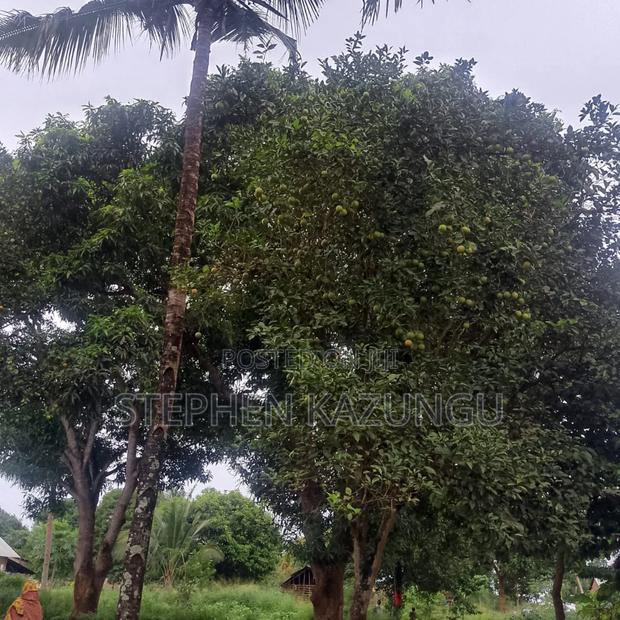 1/2 Acre/0.18 Hectare Plot on Sale at Kidzangoni Ukunda.