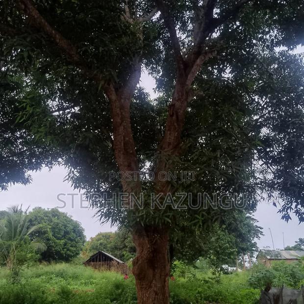 1/2 Acre/0.18 Hectare Plot on Sale at Kidzangoni Ukunda.