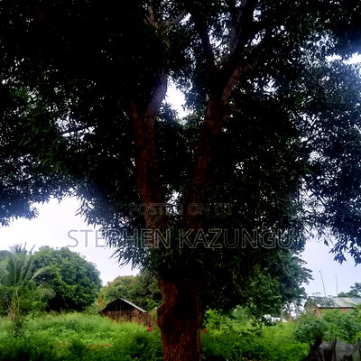 1/2 Acre/0.18 Hectare Plot on Sale at Kidzangoni Ukunda. - Image 7