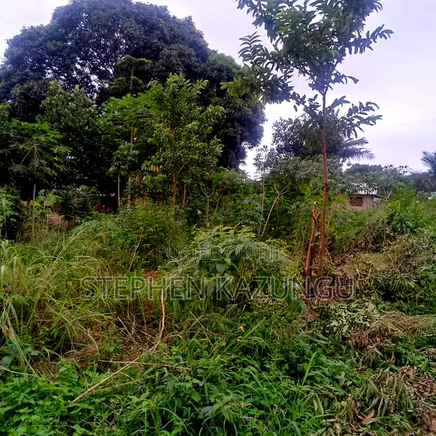 1/2 Acre/0.18 Hectare Plot on Sale at Kidzangoni Ukunda.